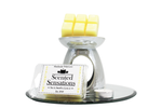 Bargain Melts - Scented Sensations