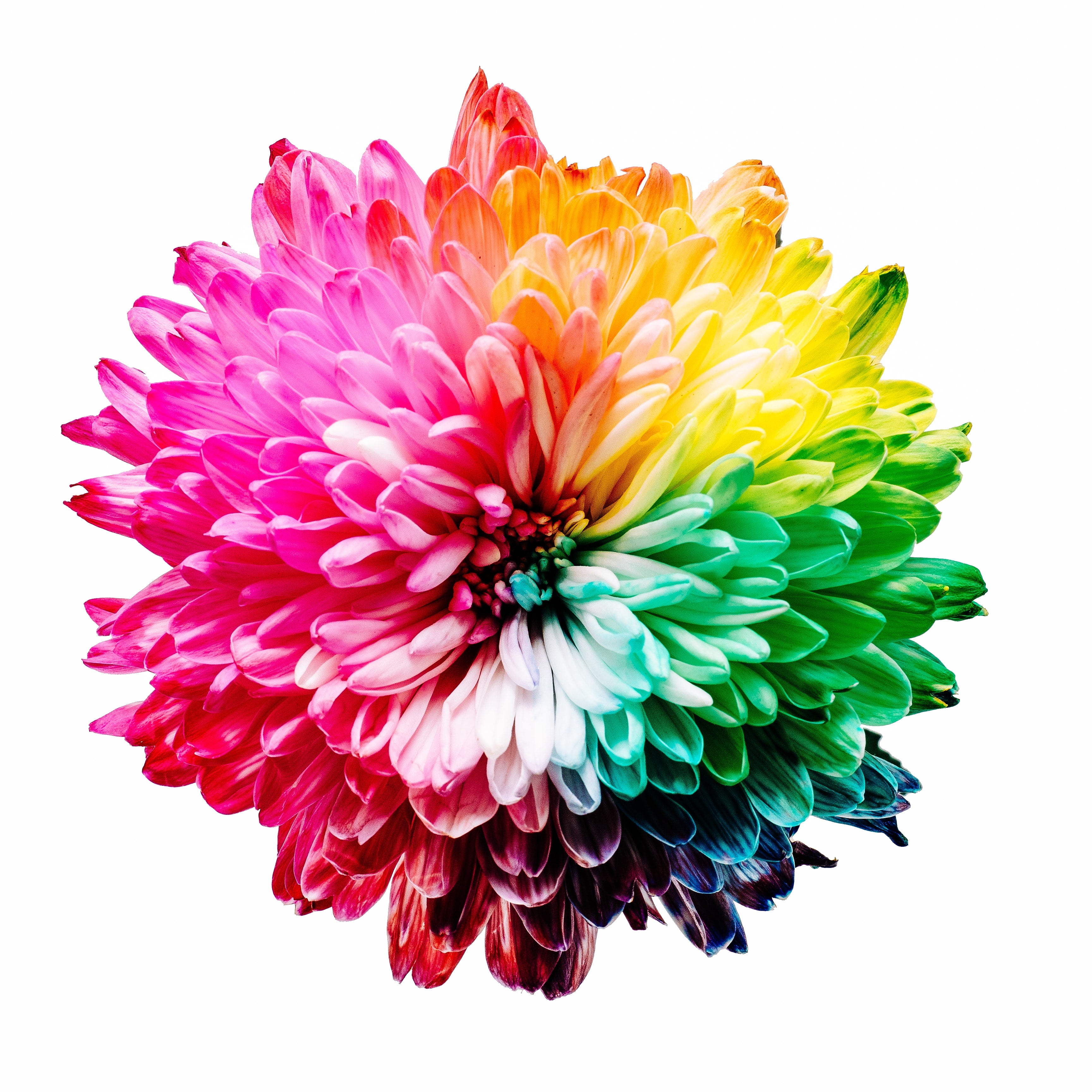 Colour Customisation